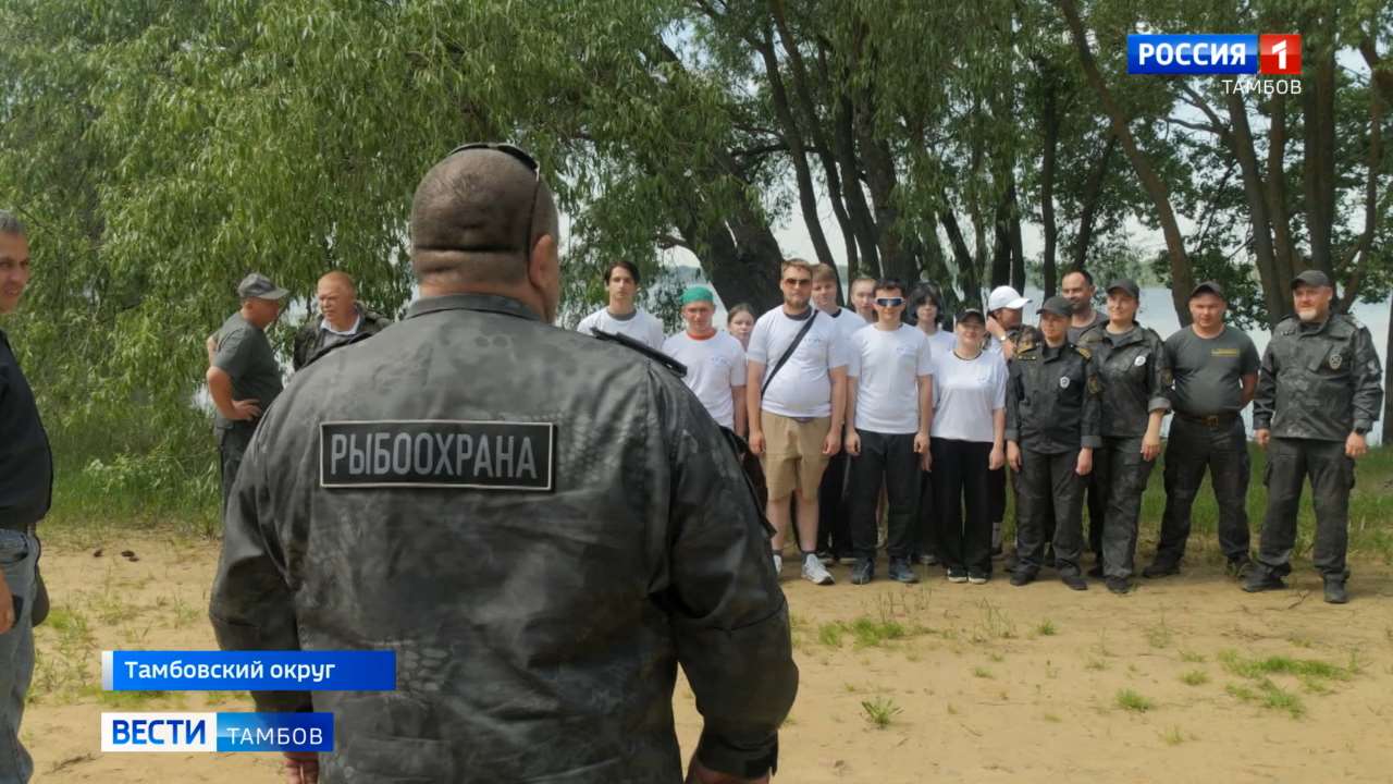 Через День без сетей — в Годы без сетей