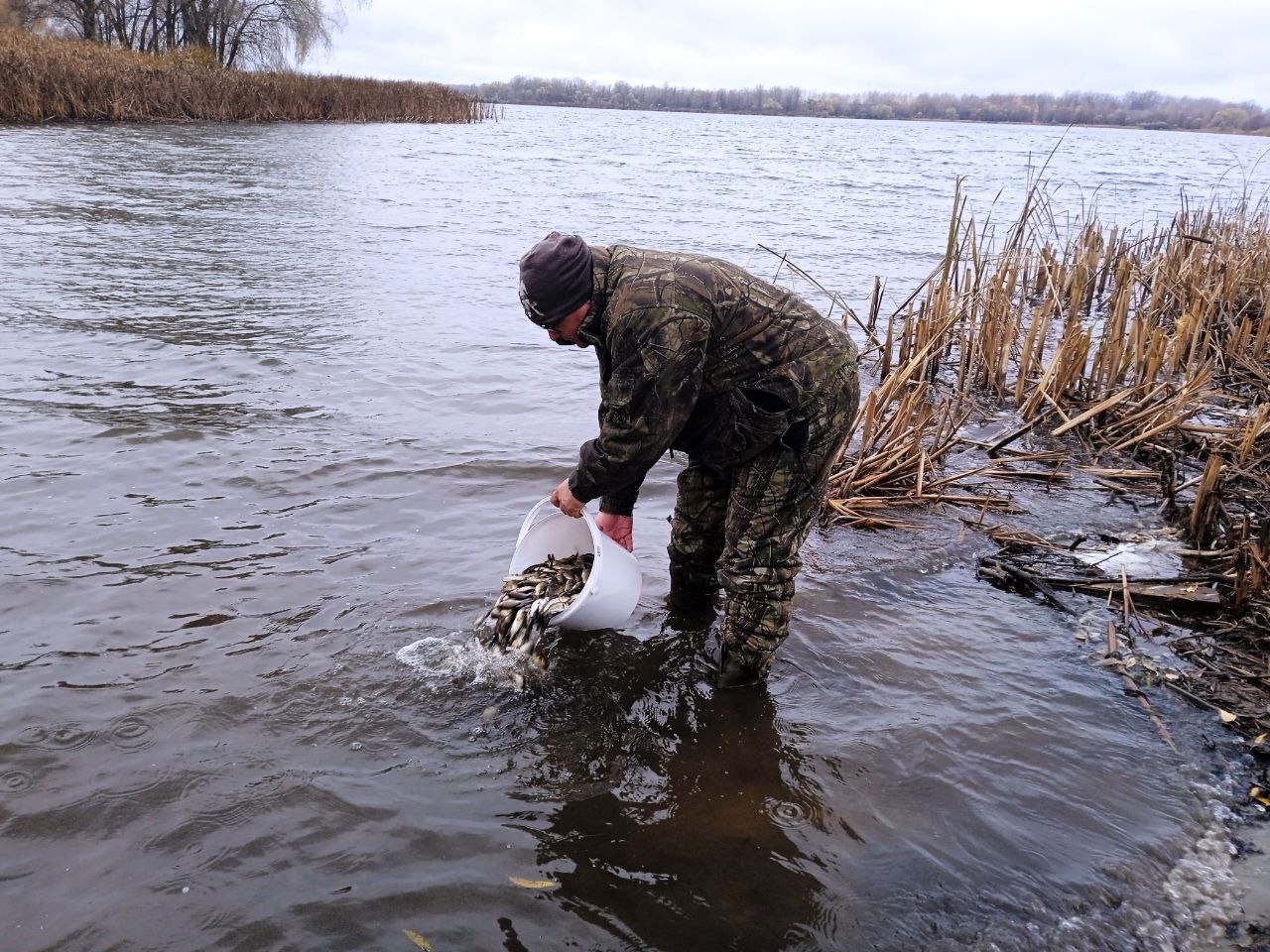 Водоемы Тамбовской области пополнились молодью