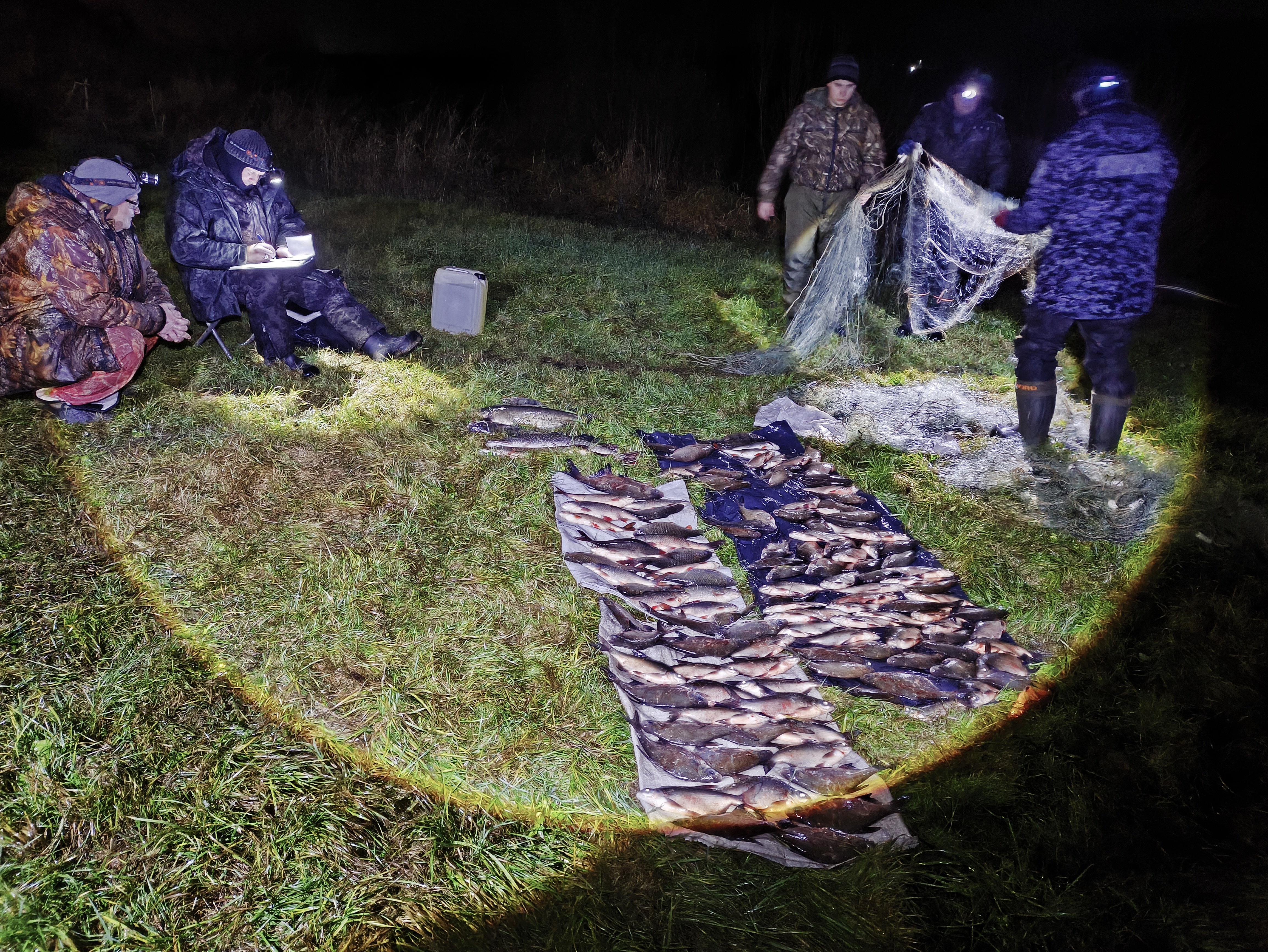 По итогам совместного рейда на реке Ока в Тульской области пресечена незаконная добыча рыбы