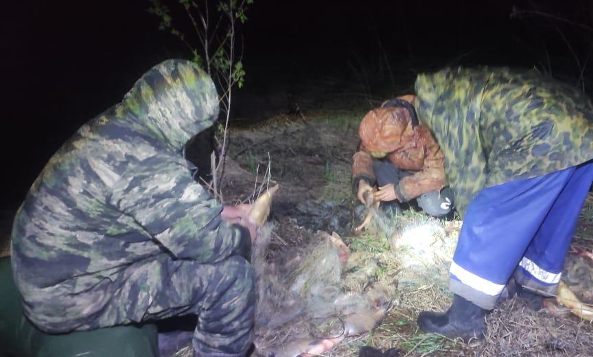 Браконьеры-рецидивисты в Калужской области получили условные сроки за незаконную добычу рыбы 