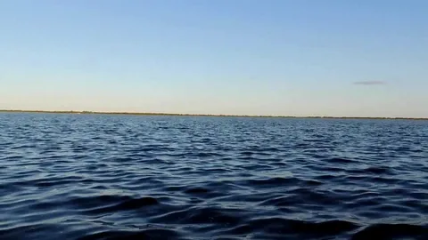О получении разрешения на вылов посредством ЕПГУ