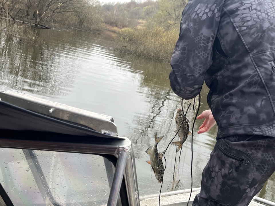 Дан старт акции «День без сетей» в зоне ответственности Московско-Окского ТУ Росрыболовства