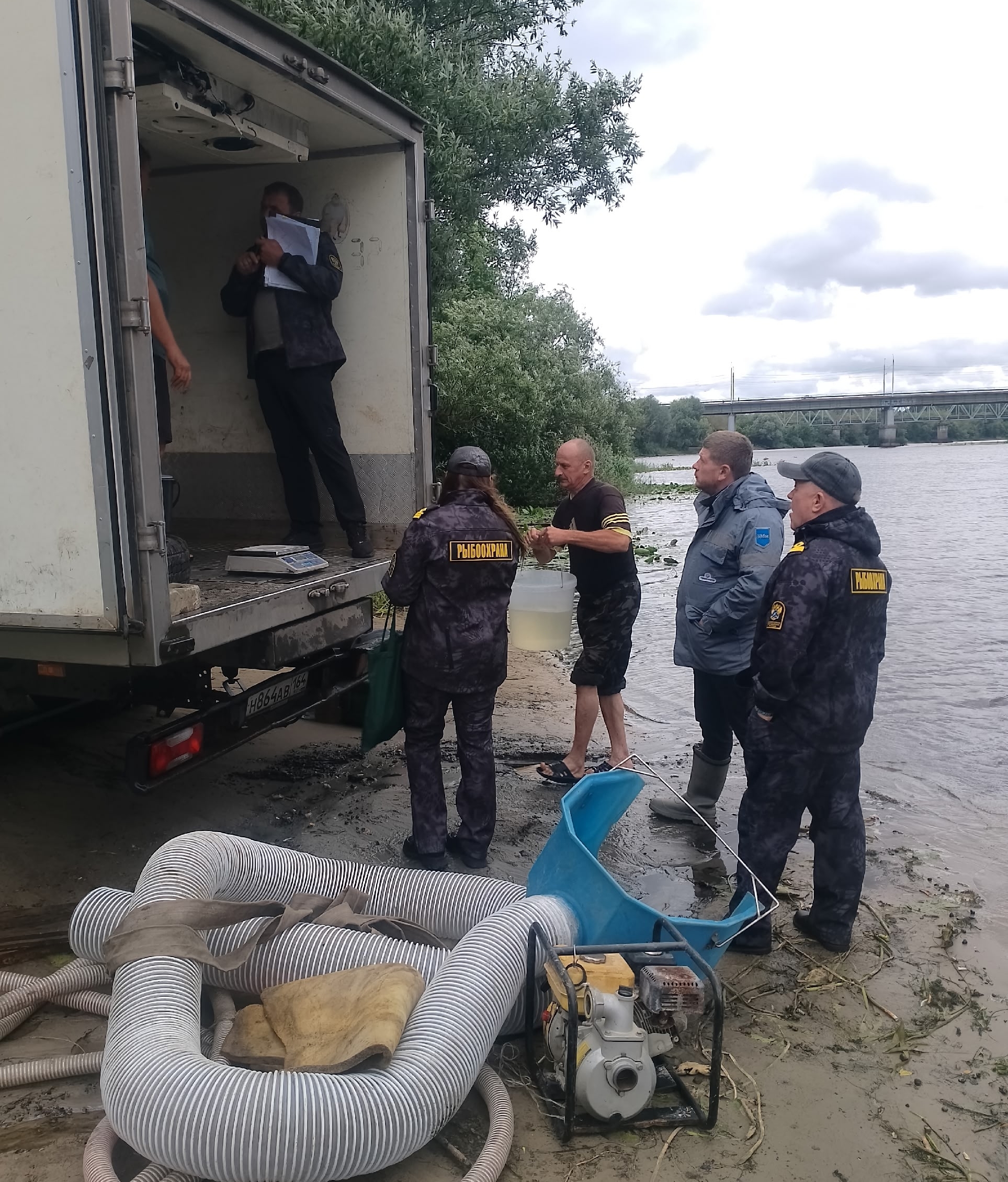 В Брянской области восстанавливают популяцию осетровых