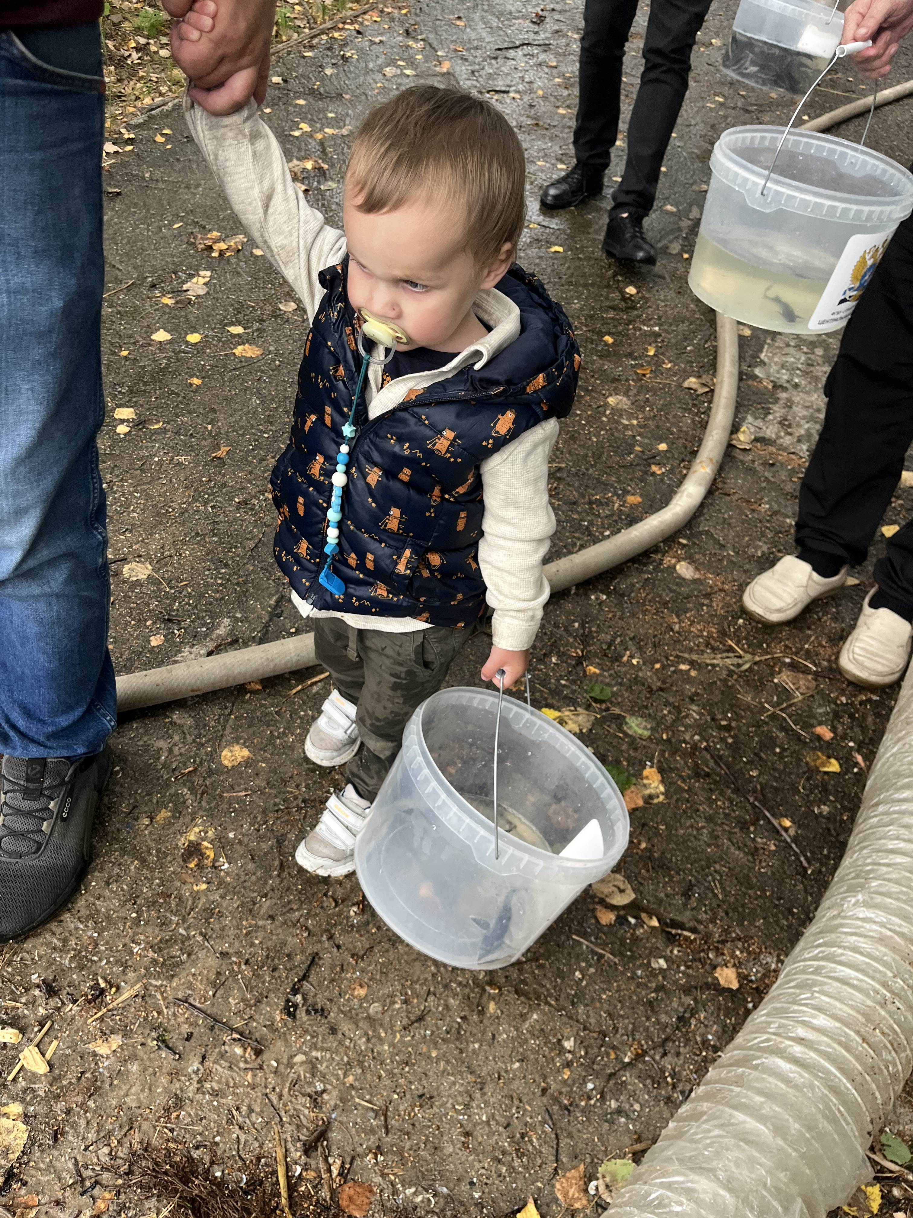 Москва-река пополнилась молодью стерляди