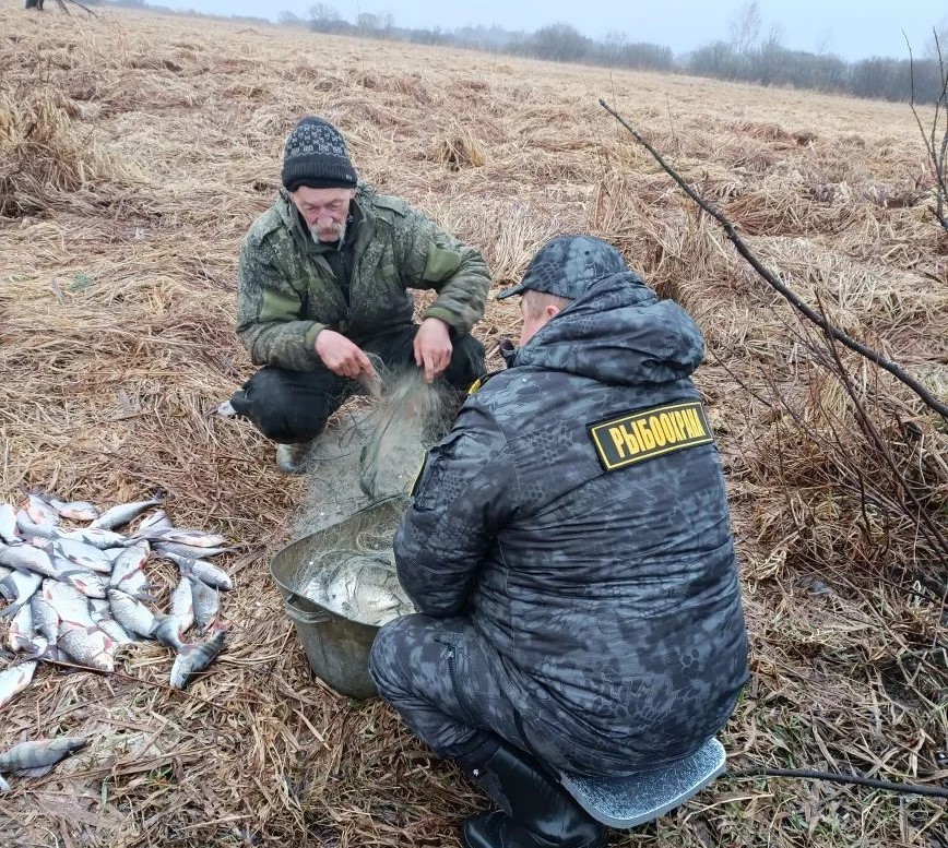 Рыбоохранные мероприятия в усиленном режиме стартовали в Ярославской области 