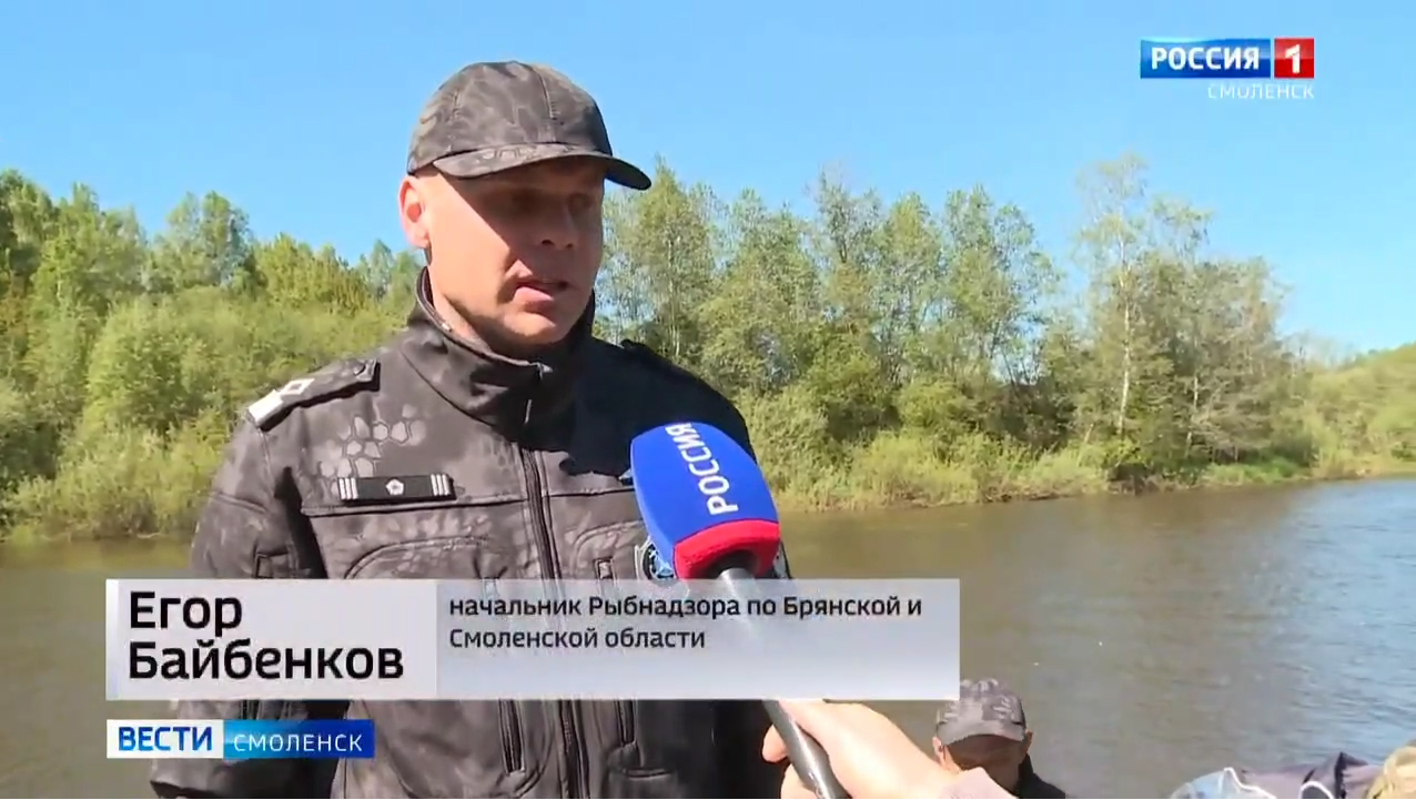 В Смоленской области проходит экологическая акция «Всероссийский день без сетей»
