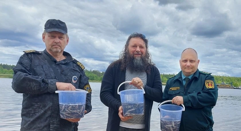 Более 1,5 тысяч экземпляров молоди стерляди выпустили в Иваньковское водохранилище