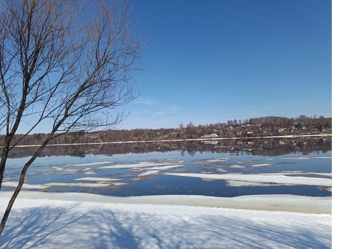 Вопросы сохранения водных биоресурсов обсуждались на встрече в Плёсе 