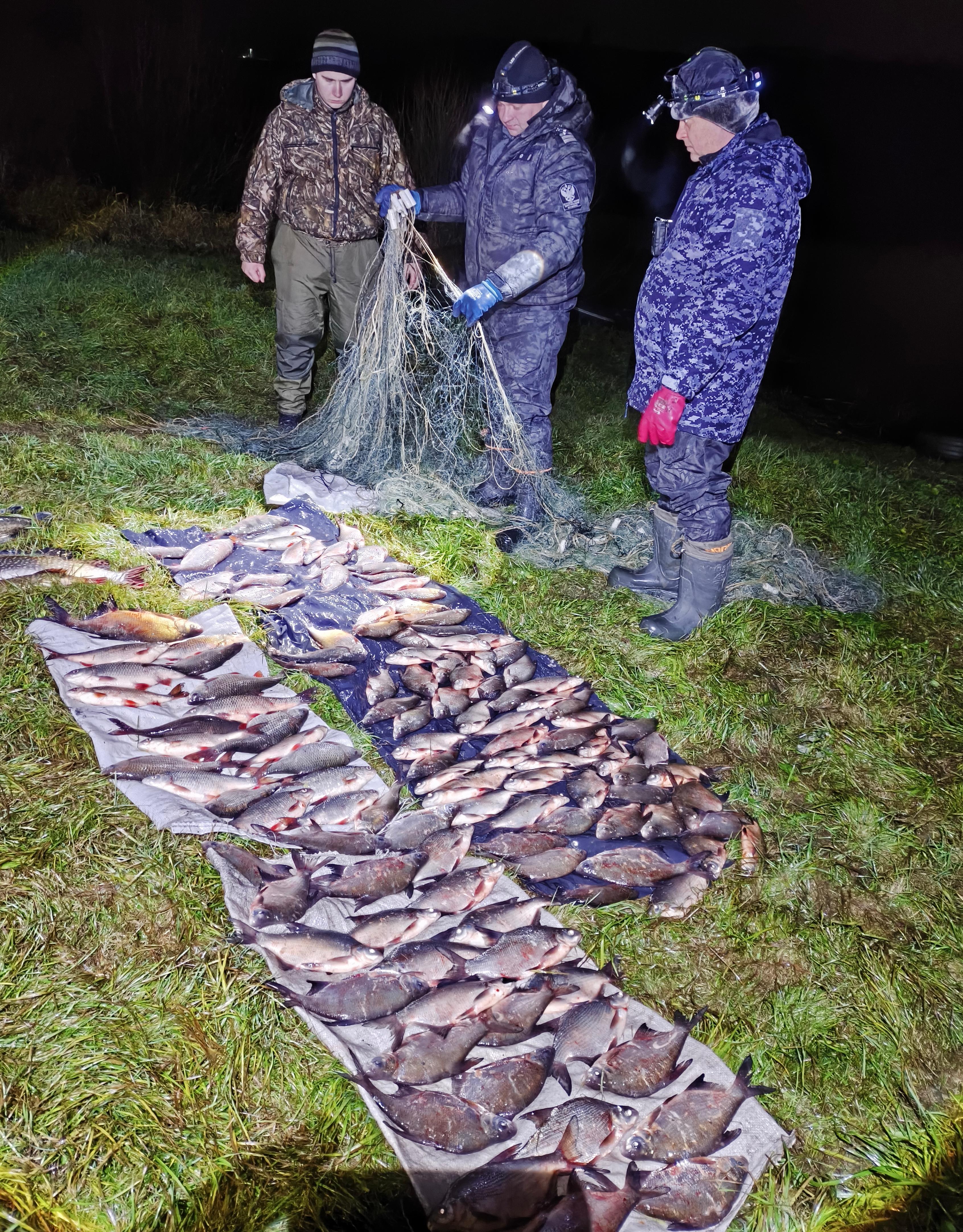 По итогам совместного рейда на реке Ока в Тульской области пресечена незаконная добыча рыбы