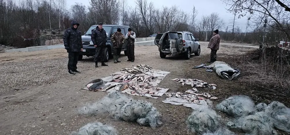 Более 700 м сетей и свыше 200 кг водных биоресурсов изъято в ходе рейда на Пестовском водохранилище в Подмосковье