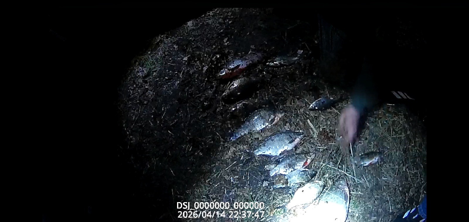 На реке Десна выявлен факт незаконной добычи водных биоресурсов 