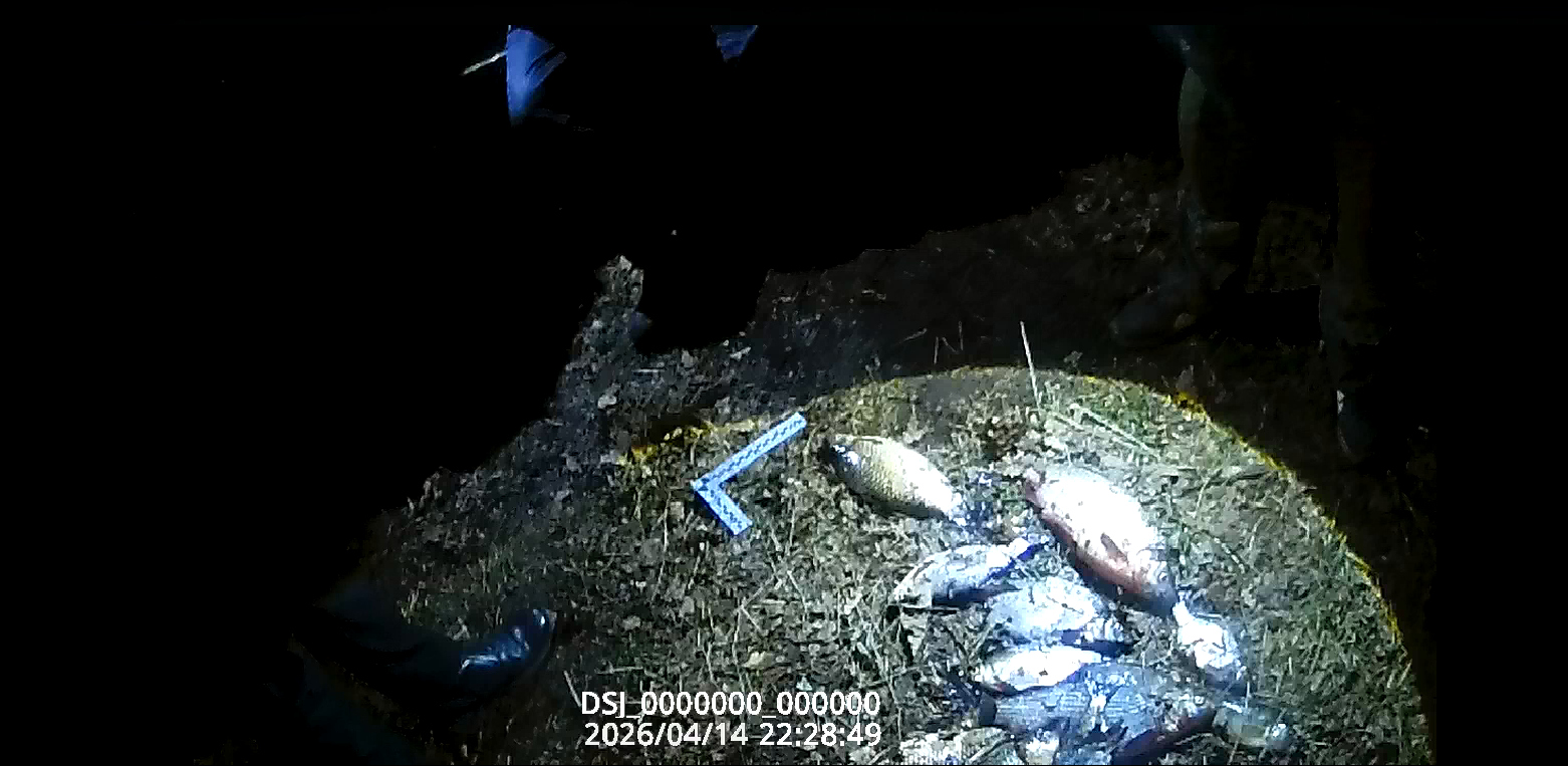 На реке Десна выявлен факт незаконной добычи водных биоресурсов 