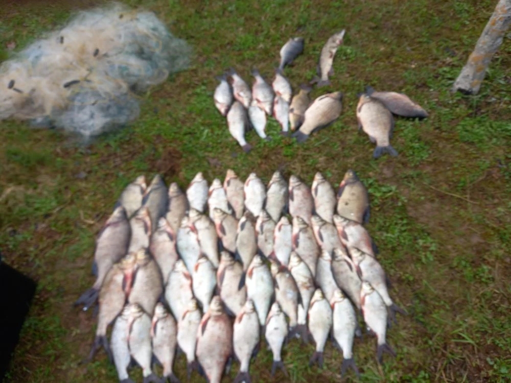 На реке Жабня в Тверской области рыбоохраной выявлены нарушители правил рыболовства 