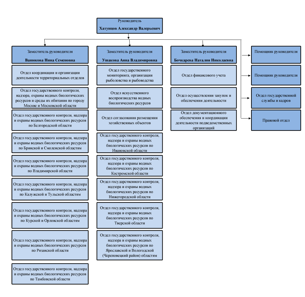 Структура 01.07.2025 (2).png