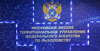 Путеводитель нового сотрудника