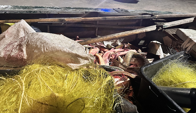 На водных объектах в зоне ответственности Московско-Окского ТУ Росрыболовства изъято 206 запретных орудий лова 