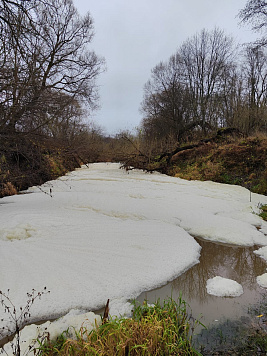  Предприятие во Владимирской области виновно в гибели водных биоресурсов 