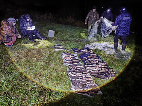 По итогам совместного рейда на реке Ока в Тульской области пресечена незаконная добыча рыбы