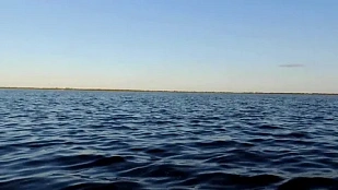 О получении разрешения на вылов посредством ЕПГУ