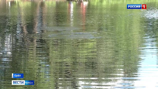 В Орловской области наказали рыбаков за незаконный вылов раков