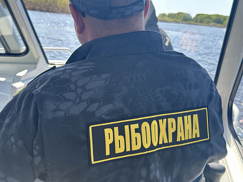 За незаконную добычу водных биоресурсов решается вопрос о возбуждении уголовного дела