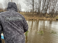 Искусственные нерестилища установлены на водных объектах Ярославской области 