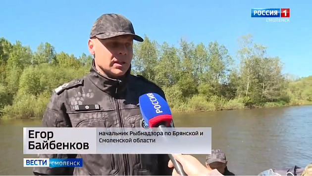 В Смоленской области проходит экологическая акция «Всероссийский день без сетей»