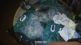 Незаконная добыча рыбы на реке Ока в нерестовый период 