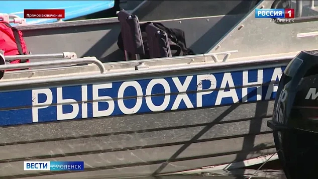 В Смоленской области проходит экологическая акция «Всероссийский день без сетей»