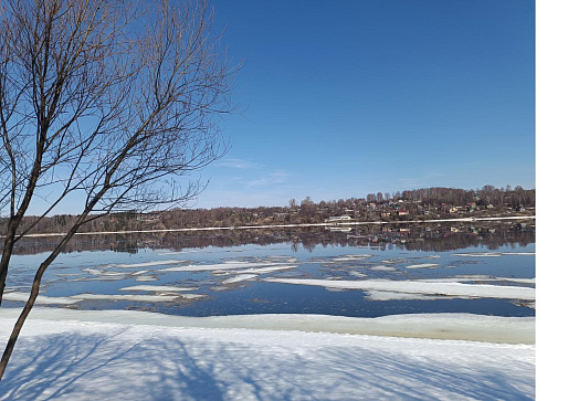 Вопросы сохранения водных биоресурсов обсуждались на встрече в Плёсе 