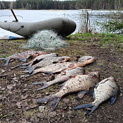 Возбуждено уголовное дело за незаконную добычу водных биоресурсов на реке Суховетка в Тверской области