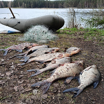 Возбуждено уголовное дело за незаконную добычу водных биоресурсов на реке Суховетка в Тверской области